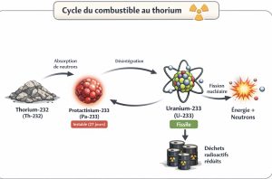 cycle du combustible au thorium